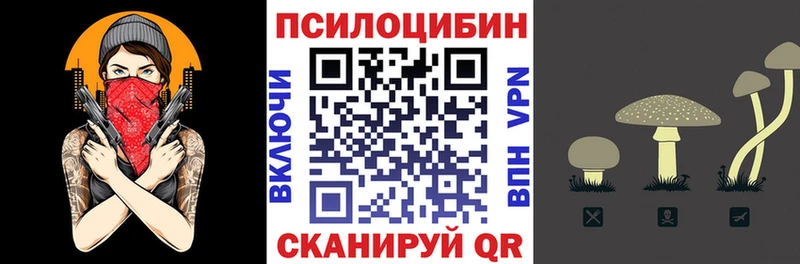 Псилоцибиновые грибы мухоморы  Купить где  Вяземский 